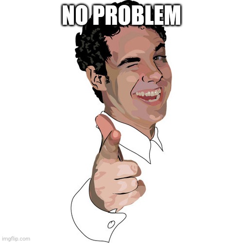 wink | NO PROBLEM | image tagged in wink | made w/ Imgflip meme maker