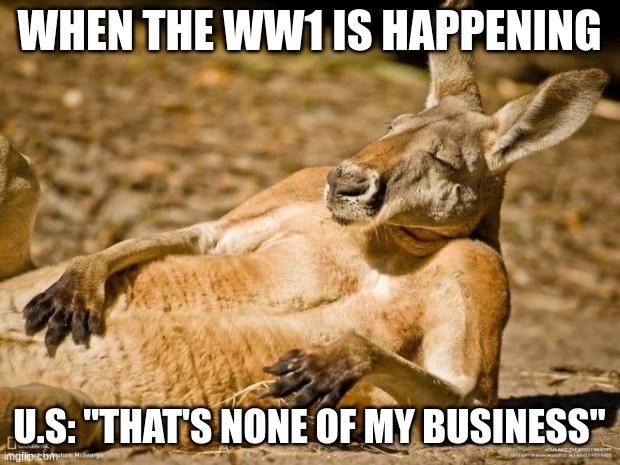 Chillin Kangaroo | WHEN THE WW1 IS HAPPENING; U.S: "THAT'S NONE OF MY BUSINESS" | image tagged in chillin kangaroo | made w/ Imgflip meme maker