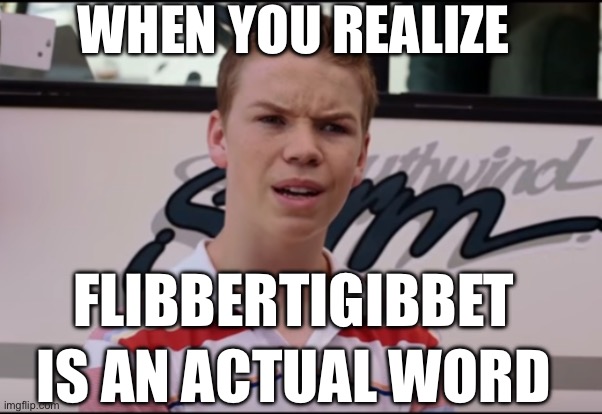 Flibbertigibbet | WHEN YOU REALIZE; FLIBBERTIGIBBET; IS AN ACTUAL WORD | image tagged in you guys are getting paid,flibbertigibbet,words,weird words,long words | made w/ Imgflip meme maker