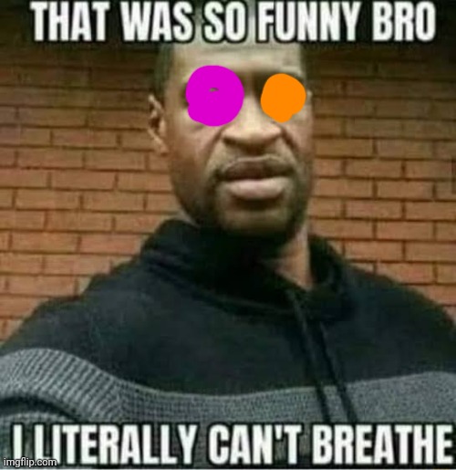 That was so funny bro i literally can't breathe | image tagged in that was so funny bro i literally can't breathe | made w/ Imgflip meme maker