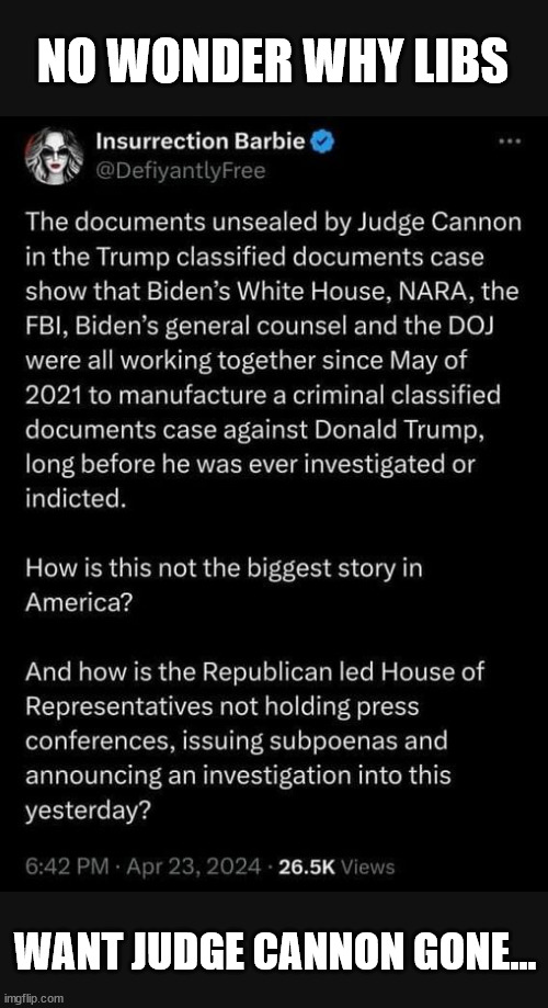 Judge Cannon exposes the truth about the crooked Biden regime | NO WONDER WHY LIBS; WANT JUDGE CANNON GONE... | image tagged in judge cannon,exposes,biden regime crimes | made w/ Imgflip meme maker