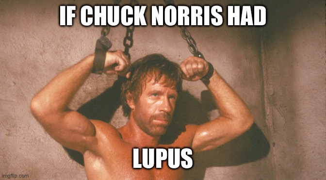 If Chuck Norris had Lupus | IF CHUCK NORRIS HAD; LUPUS | image tagged in chuck norris,illness,sick,sickness,defeat | made w/ Imgflip meme maker