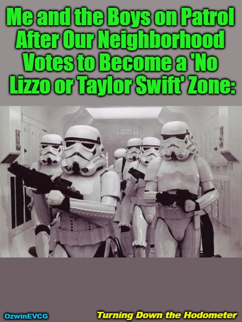 Turning Down the Hodometer | Me and the Boys on Patrol 

After Our Neighborhood 

Votes to Become a 'No 

Lizzo or Taylor Swift' Zone:; Turning Down the Hodometer; OzwinEVCG | image tagged in stormtroopers,memes,pop culture,funny,hodometer,neighborhood watch | made w/ Imgflip meme maker