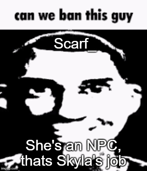 /hj | Scarf_; She's an NPC, thats Skyla's job | image tagged in can we ban this guy | made w/ Imgflip meme maker