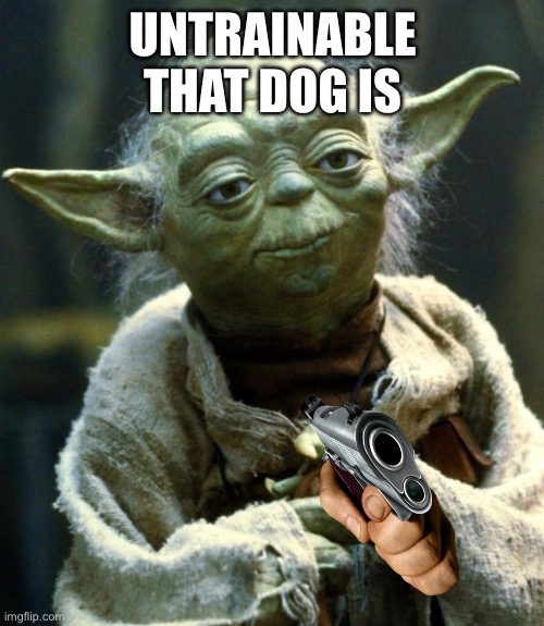 Post shit 2 | UNTRAINABLE THAT DOG IS | image tagged in memes,star wars yoda | made w/ Imgflip meme maker