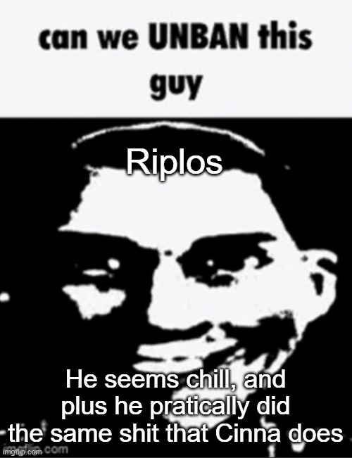 can we unban this guy | Riplos; He seems chill, and plus he pratically did the same shit that Cinna does | image tagged in can we unban this guy | made w/ Imgflip meme maker