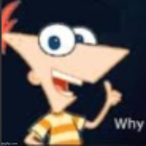 Phineas why | image tagged in phineas why | made w/ Imgflip meme maker