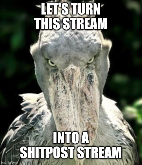 For the funny | LET'S TURN THIS STREAM; INTO A SHITPOST STREAM | image tagged in 3 | made w/ Imgflip meme maker