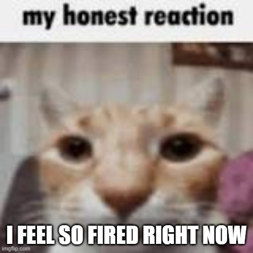 My Honest Reaction | I FEEL SO FIRED RIGHT NOW | image tagged in my honest reaction | made w/ Imgflip meme maker