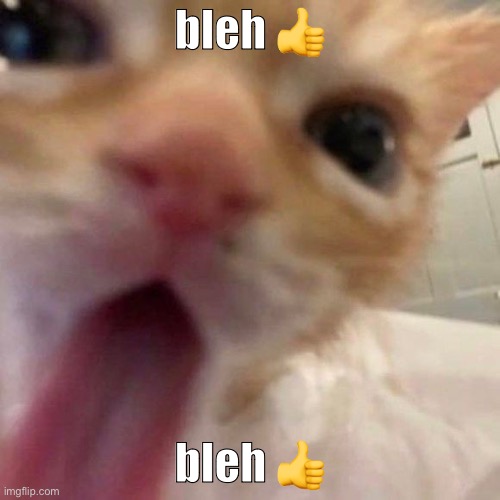 bleh | bleh 👍; bleh 👍 | image tagged in bleh | made w/ Imgflip meme maker