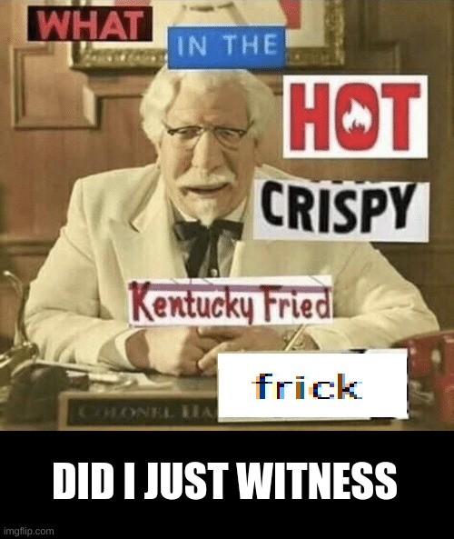 what in the hot crispy kentucky fried frick | DID I JUST WITNESS | image tagged in what in the hot crispy kentucky fried frick | made w/ Imgflip meme maker