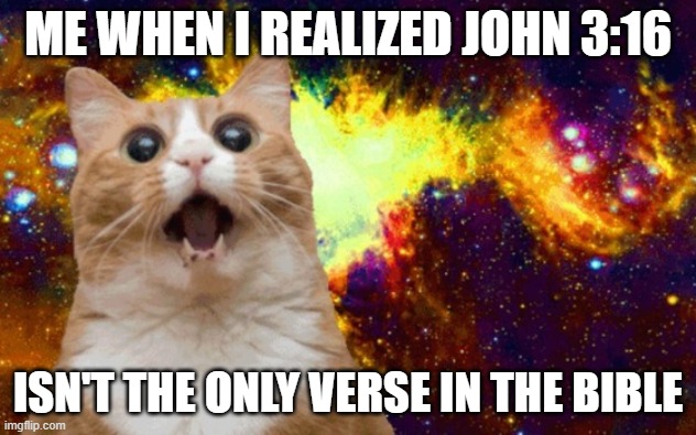 Mind Blown cat | ME WHEN I REALIZED JOHN 3:16; ISN'T THE ONLY VERSE IN THE BIBLE | image tagged in mind blown cat | made w/ Imgflip meme maker