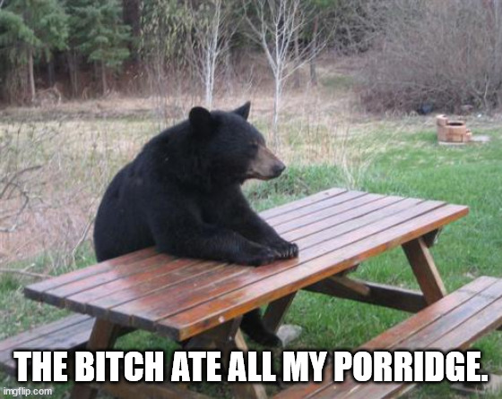 The bears are tired of their sh*t too! | THE BITCH ATE ALL MY PORRIDGE. | image tagged in memes,bad luck bear | made w/ Imgflip meme maker