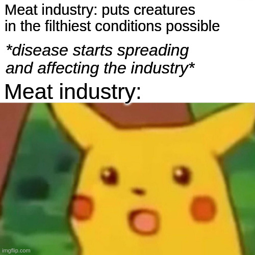 Wait you mean that isn't the best strategy? | Meat industry: puts creatures in the filthiest conditions possible; *disease starts spreading and affecting the industry*; Meat industry: | image tagged in memes,surprised pikachu,cruel,disease,animal rights,capitalism | made w/ Imgflip meme maker