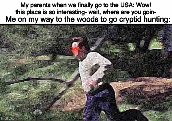 TÏMÊ TÖ AQÛÏRÊ MÓTHMÄN | My parents when we finally go to the USA: Wow! this place is so interesting- wait, where are you goin-; Me on my way to the woods to go cryptid hunting: | image tagged in ron swanson running,cryptids,memes,america,forest | made w/ Imgflip meme maker