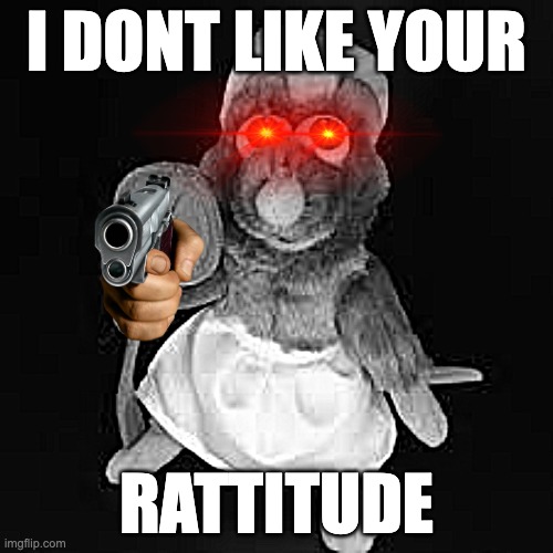 rattitude | I DONT LIKE YOUR; RATTITUDE | image tagged in funny | made w/ Imgflip meme maker
