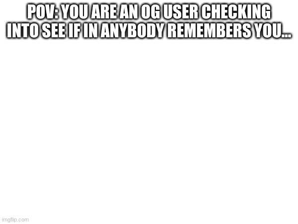 POV: YOU ARE AN OG USER CHECKING INTO SEE IF IN ANYBODY REMEMBERS YOU... | made w/ Imgflip meme maker