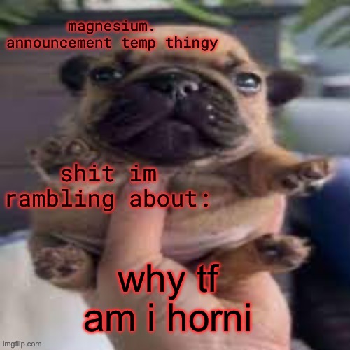 pug temp | why tf am i horni | image tagged in pug temp | made w/ Imgflip meme maker
