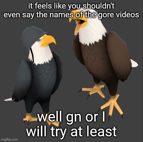 tf2 eagles | it feels like you shouldn't even say the names of the gore videos; well gn or I will try at least | image tagged in tf2 eagles | made w/ Imgflip meme maker