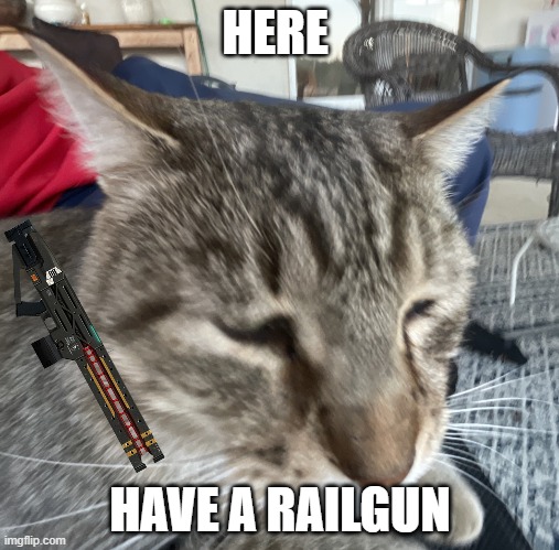 Distinguished cat | HERE; HAVE A RAILGUN | image tagged in distinguished cat | made w/ Imgflip meme maker