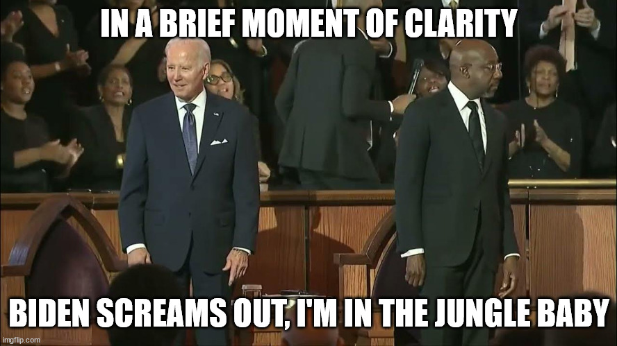 joebiden | IN A BRIEF MOMENT OF CLARITY; BIDEN SCREAMS OUT, I'M IN THE JUNGLE BABY | image tagged in 2024election,joebiden | made w/ Imgflip meme maker