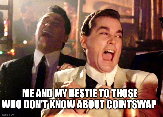 CoinSwap Dex | ME AND MY BESTIE TO THOSE WHO DON’T KNOW ABOUT COINTSWAP | image tagged in memes,good fellas hilarious,dex,cointswap,coint,cryptocurrency | made w/ Imgflip meme maker