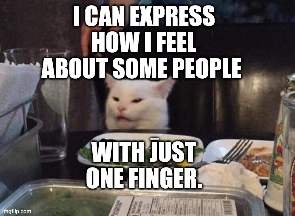 Smudge that darn cat | I CAN EXPRESS HOW I FEEL ABOUT SOME PEOPLE; WITH JUST ONE FINGER. | image tagged in smudge that darn cat | made w/ Imgflip meme maker