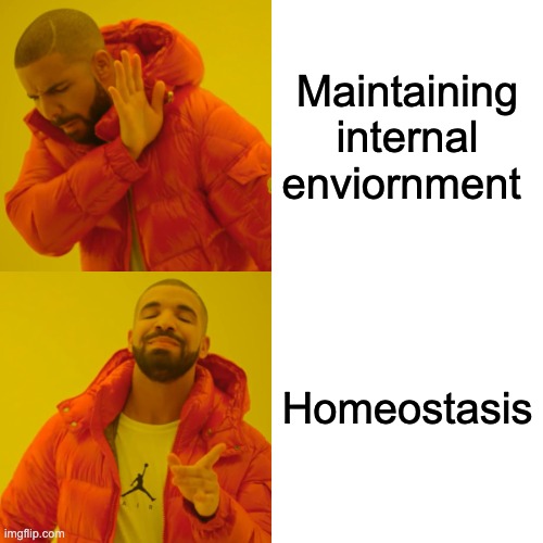 Drake Hotline Bling | Maintaining internal enviornment; Homeostasis | image tagged in memes,drake hotline bling | made w/ Imgflip meme maker