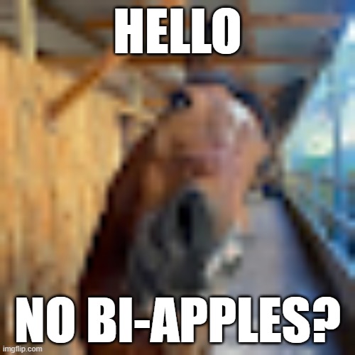Horse | HELLO; NO BI-APPLES? | image tagged in horse,no bitches,megamind no bitches | made w/ Imgflip meme maker