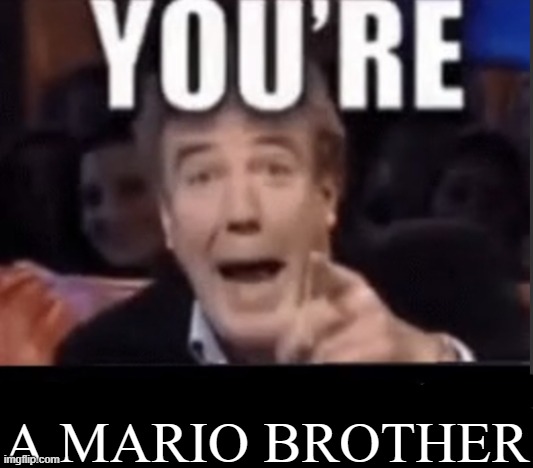 you're a mario brother | A MARIO BROTHER | image tagged in you're x blank | made w/ Imgflip meme maker
