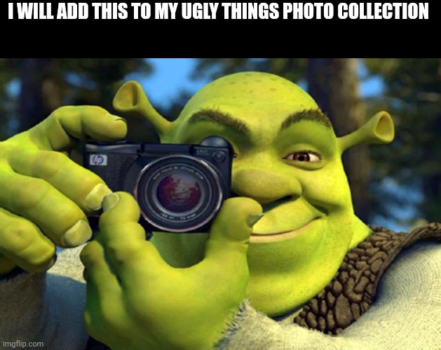 Say cheese | I WILL ADD THIS TO MY UGLY THINGS PHOTO COLLECTION | image tagged in shrek caught in 4k | made w/ Imgflip meme maker