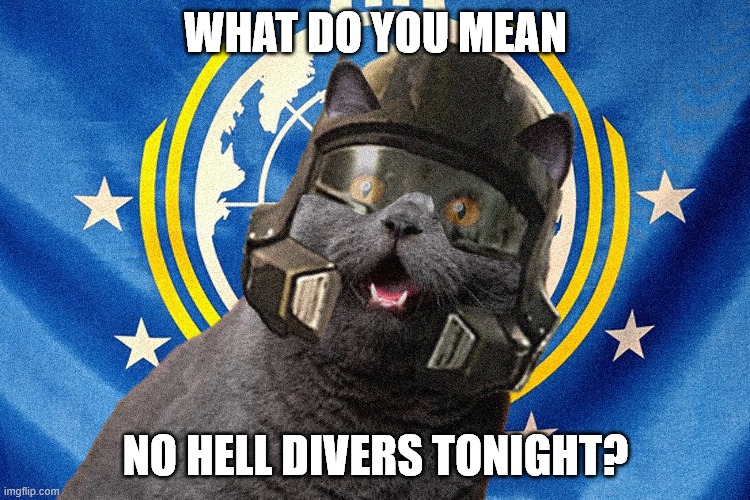 No Hell Divers Cat | WHAT DO YOU MEAN; NO HELL DIVERS TONIGHT? | image tagged in hell divers ii,hell,divers,game,cat,shocked | made w/ Imgflip meme maker
