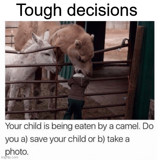 Tough decisions | Tough decisions | image tagged in dark humour,tough,decisions,take a photo,save a child | made w/ Imgflip meme maker