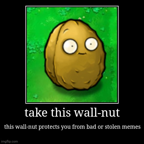 take this wall-nut | this wall-nut protects you from bad or stolen memes | image tagged in funny,demotivationals,protection,bored,im bored,idk | made w/ Imgflip demotivational maker
