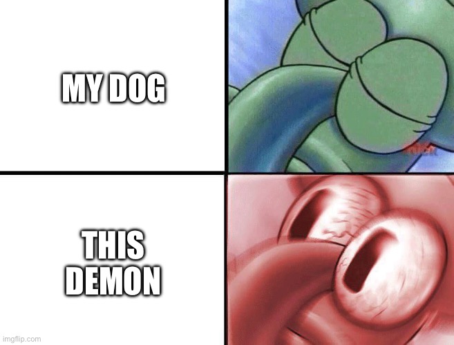 sleeping Squidward | MY DOG THIS DEMON | image tagged in sleeping squidward | made w/ Imgflip meme maker