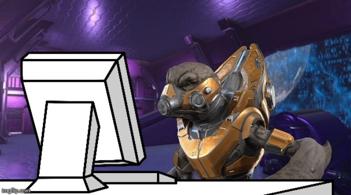 Covenant Grunt on Computer | image tagged in covenant grunt on computer | made w/ Imgflip meme maker