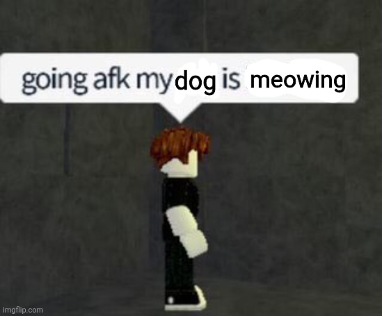 dog meowing | image tagged in my cat is barking | made w/ Imgflip meme maker