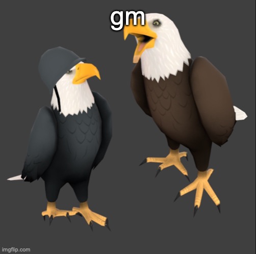 tf2 eagles | gm | image tagged in tf2 eagles | made w/ Imgflip meme maker