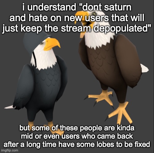 psa moment | i understand “dont saturn and hate on new users that will just keep the stream depopulated"; but some of these people are kinda mid or even users who came back after a long time have some lobes to be fixed | image tagged in tf2 eagles | made w/ Imgflip meme maker