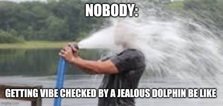 Getting vibe checked by a dolphin | NOBODY:; GETTING VIBE CHECKED BY A JEALOUS DOLPHIN BE LIKE | image tagged in drinking from the firehose,nature,jpfan102504 | made w/ Imgflip meme maker