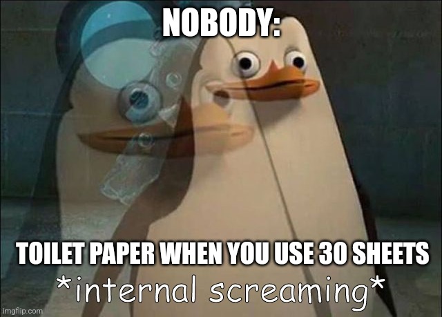 30 sheets of toilet paper | NOBODY:; TOILET PAPER WHEN YOU USE 30 SHEETS | image tagged in private internal screaming,jpfan102504 | made w/ Imgflip meme maker