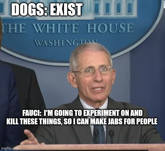 Dr Fauci | DOGS: EXIST FAUCI:  I'M GOING TO EXPERIMENT ON AND KILL THESE THINGS, SO I CAN MAKE JABS FOR PEOPLE | image tagged in dr fauci | made w/ Imgflip meme maker