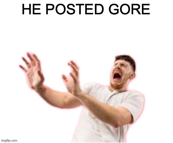 icy moment | HE POSTED GORE | image tagged in he left all caps on custom | made w/ Imgflip meme maker