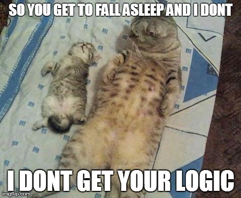 Do you get the logic? | SO YOU GET TO FALL ASLEEP AND I DONT I DONT GET YOUR LOGIC | image tagged in reallycat | made w/ Imgflip meme maker