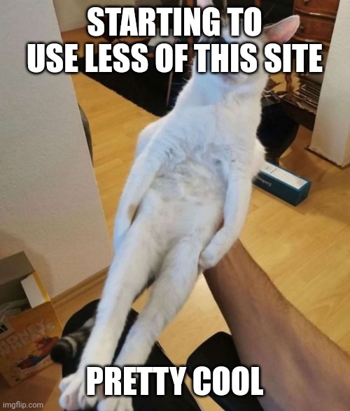 this car think he a chicken | STARTING TO USE LESS OF THIS SITE; PRETTY COOL | image tagged in this car think he a chicken | made w/ Imgflip meme maker