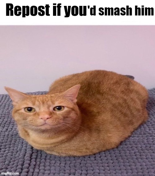 smash Blank Meme Template