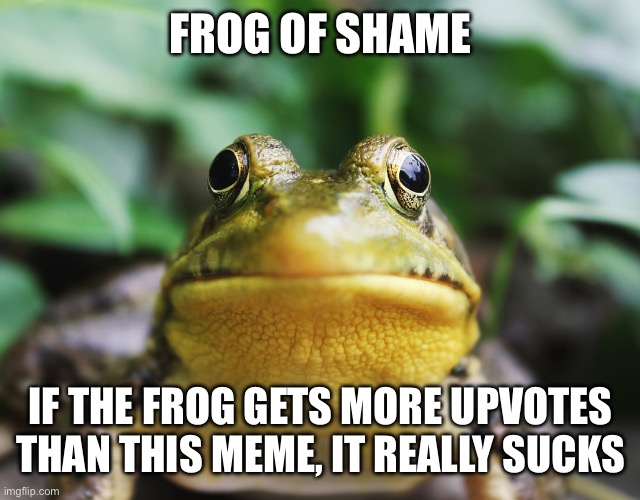 Frog of Shame | FROG OF SHAME IF THE FROG GETS MORE UPVOTES THAN THIS MEME, IT REALLY SUCKS | image tagged in frog of shame | made w/ Imgflip meme maker