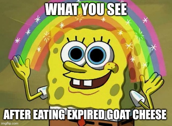 Eating expired goat cheese | WHAT YOU SEE; AFTER EATING EXPIRED GOAT CHEESE | image tagged in memes,imagination spongebob,food memes,hallucinate,jpfan102504 | made w/ Imgflip meme maker