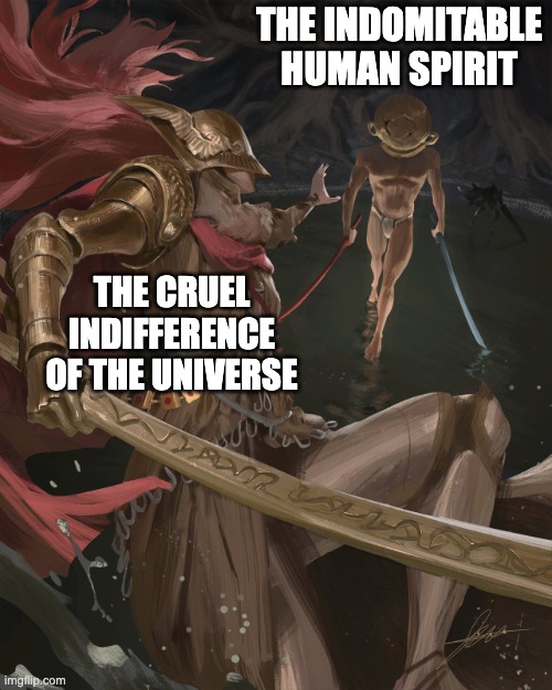 we were born to inherit the stars! | THE INDOMITABLE HUMAN SPIRIT; THE CRUEL INDIFFERENCE OF THE UNIVERSE | image tagged in elden ring | made w/ Imgflip meme maker