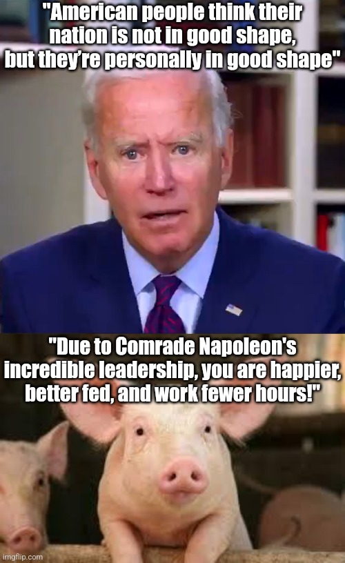 Democrats are so desperate, they are now using lies straight out of Animal Farm?!? And you'll believe them??? | "American people think their nation is not in good shape, but they’re personally in good shape"; "Due to Comrade Napoleon's incredible leadership, you are happier, better fed, and work fewer hours!" | image tagged in slow joe biden dementia face,pig,animal farm,liberal logic,stupid people,liberal hypocrisy | made w/ Imgflip meme maker